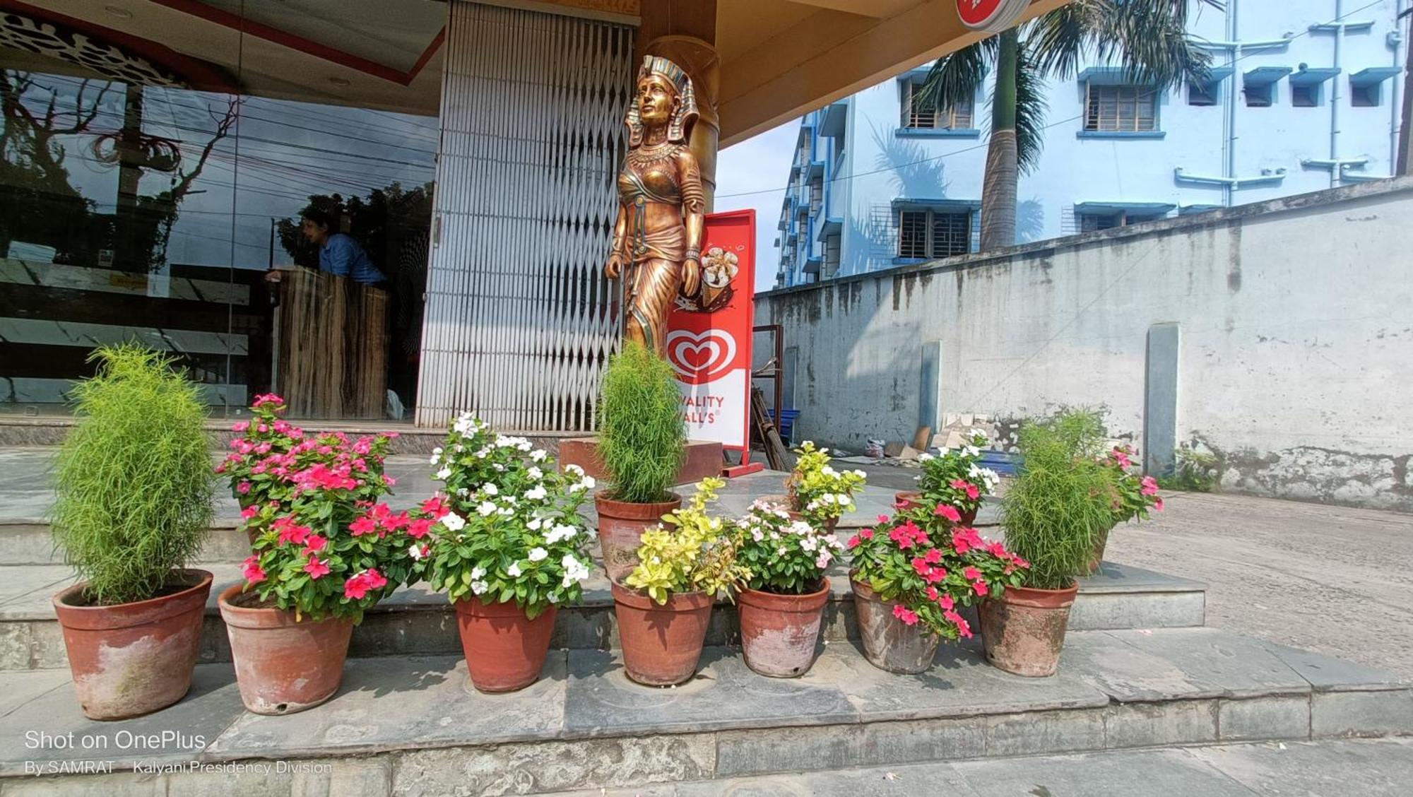 Trisplanet Hotel Kalyani Luaran gambar